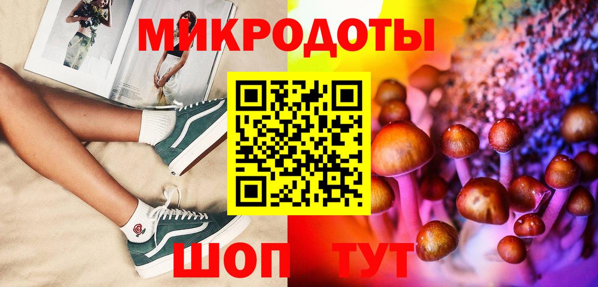Псилоцибиновые грибы Cubensis Гусиноозёрск